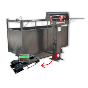 BALANÇA FIXA - MECÂNICA OU ELETRÔNICA